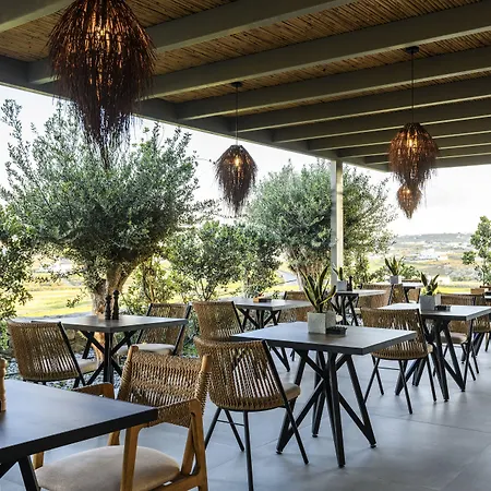 Nasta & Intentional Living Mykonos Panormos (Mykonos)